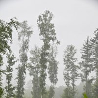 милый сердцу пейзаж :: Осень 