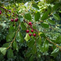 . :: Сергей К. 