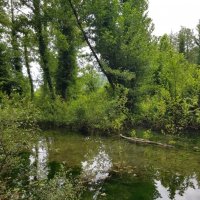 ГОРНАЯ РЕЧКА :: Tata Wolf