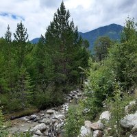 Конец июля - тоже середина лета :: Галина Минчук