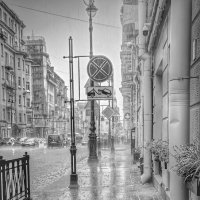 Дождь... :: Станислав Мутовин