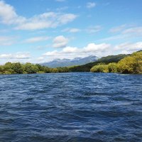 Плывем на рыбалку :: Марина Виноградова