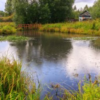 Речка Бирюлинка :: Сергей Винтовкин