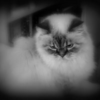 Дедушка Тихон :: Сергей Карачин