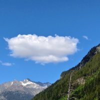 Ствол в горах. :: Александр Кондаков