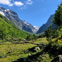 Ущелье. :: Александр Кондаков Ущелье. :: Александр Кондаков