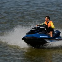 Летящий по морю)) :: Татьяна Евдокимова