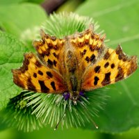 из снятого 1 августа 21 :: Александр Прокудин