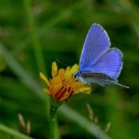 из снятого 1 августа 23 :: Александр Прокудин