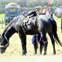 Казаки 1 МВ :: Сергей 