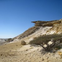 Кусочек оманской пустыни. :: unix (Илья Утропов)