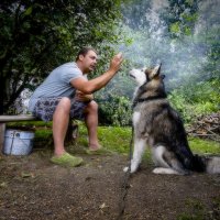 Взаимопонимание. :: leff Postnov