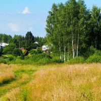 Смоленщина в начале августа. :: Милешкин Владимир Алексеевич 