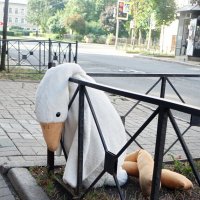 Питер.ЖАРА...,,,, :: Игорь Корф