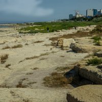 На берегу :: Анатолий Чикчирный