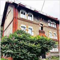 Сумах. :: Валерия Комова Сумах. :: Валерия Комова