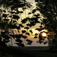 Солнце садится. :: Владимир Владимир