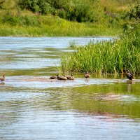 Семейство на островке Ини :: Татьяна Лютаева