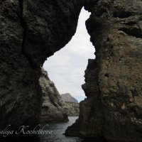 Природа Крыма :: Amazing Cosmea