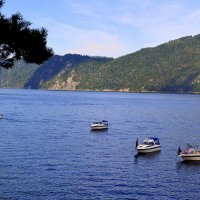 Телецкое озеро :: Татьяна Лютаева