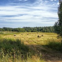 Сенокос.... :: Ольга Cоломатина
