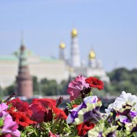 - :: Владимир Мигонькин