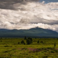 ... :: Жора Житников