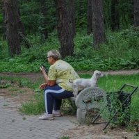 Оптимисты :: Татьяна Машошина Оптимисты :: Татьяна Машошина