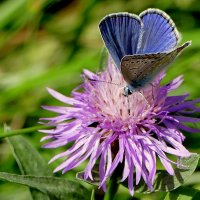 из снятого 1 августа 26 :: Александр Прокудин из снятого 1 августа 26 :: Александр Прокудин