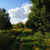 Август в Измайловском парке. Тема с вариацией :: Андрей Лукьянов