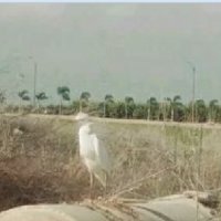 112 (160) :: СТРЕН 112 (160) :: СТРЕН