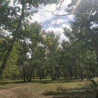 Солнечная полянка :: Андрей Хлопонин Солнечная полянка :: Андрей Хлопонин