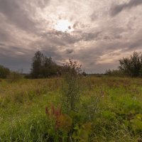 ... :: василий 