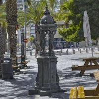 Хайфа2025год , :: ujgcvbif 