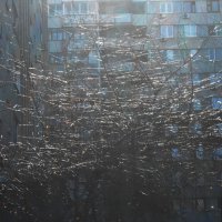 был март :: Елена Шаламова