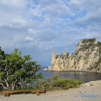 Природа Крыма :: Amazing Cosmea Природа Крыма :: Amazing Cosmea