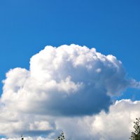 Неведома зверушка по небу бежит... :: Светлана 