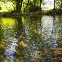 РЕЧКА :: Tata Wolf