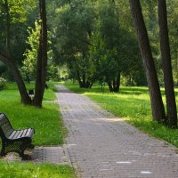 Парковая дорожка :: Александр Буянов Парковая дорожка :: Александр Буянов