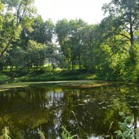 Средний пруд (панорама) :: Александр Буянов