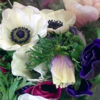 " :: Светлана Хращевская " :: Светлана Хращевская