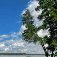 Daugaviņa 030825 2m :: Arturs Ancans