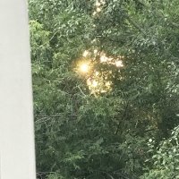 Июльский вечер . Солнечный "фонарик" :: Татьяна Юрасова