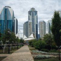 Грозный сити :: Лилия .