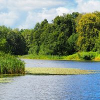 Смоленщина в августе. :: Милешкин Владимир Алексеевич 
