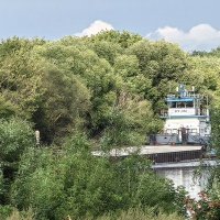 Прятки :: Алексей Лукаев