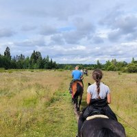 В полях. :: Ольга 