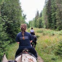 По лесным дорожкам. :: Ольга 