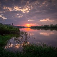 **** :: Елизавета .