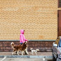 Городская среда :: Dmitry i Mary S